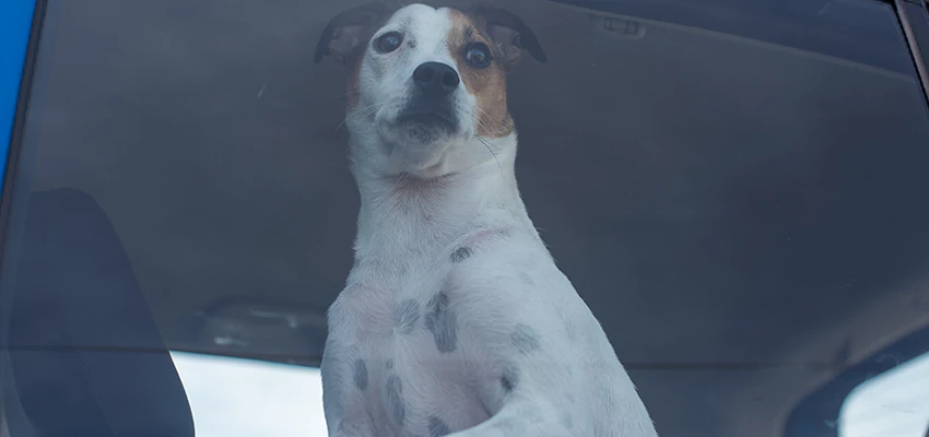 Car Lockout Solutions in El Segundo, California